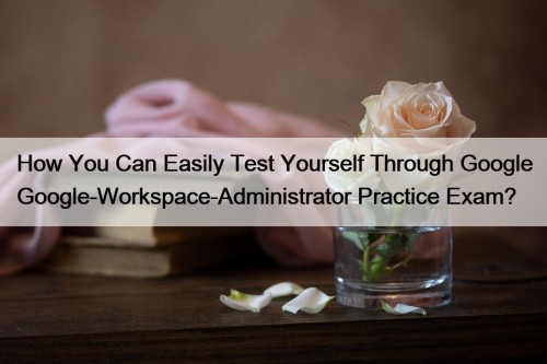 How You Can Easily Test Yourself Through Google Google-Workspace-Administrator Practice Exam?