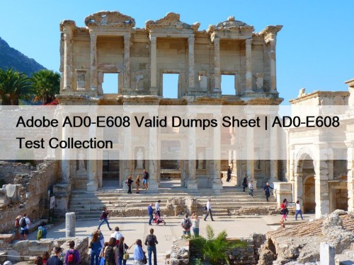 Adobe AD0-E608 Valid Dumps Sheet | AD0-E608 Test Collection