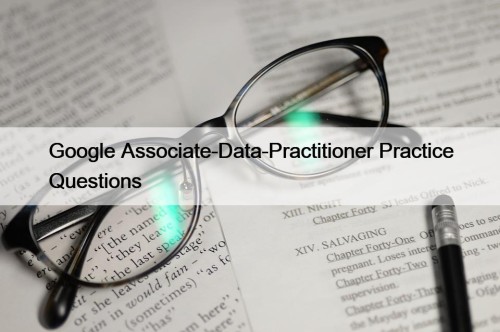 Google Associate-Data-Practitioner Practice Questions
