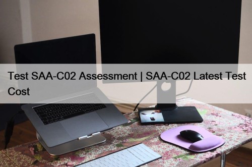 Test SAA-C02 Assessment | SAA-C02 Latest Test Cost