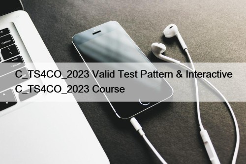 C_TS4CO_2023 Valid Test Pattern & Interactive C_TS4CO_2023 Course